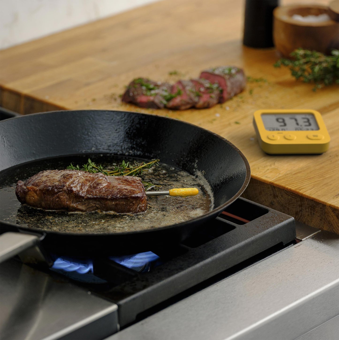 2 Predictive Thermometers & Display