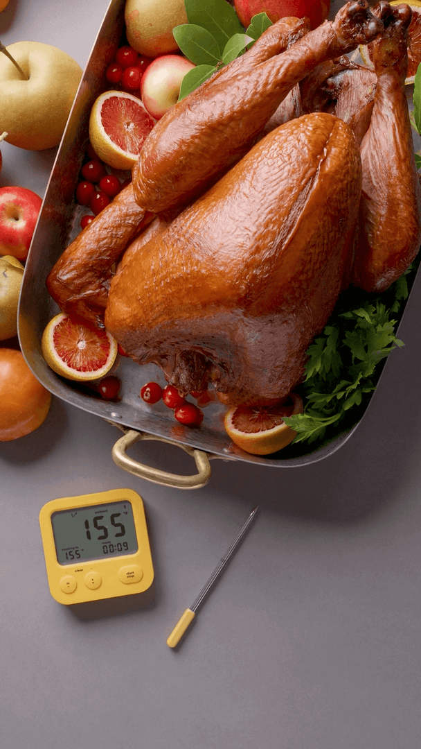 Turkey with the Predictive Thermometer