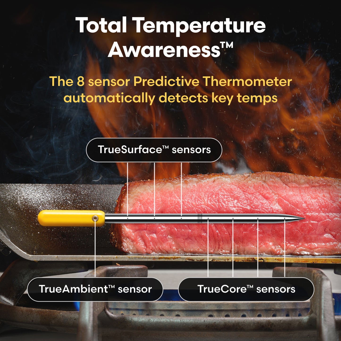 Predictive Thermometer with Range-Extending Booster & Display