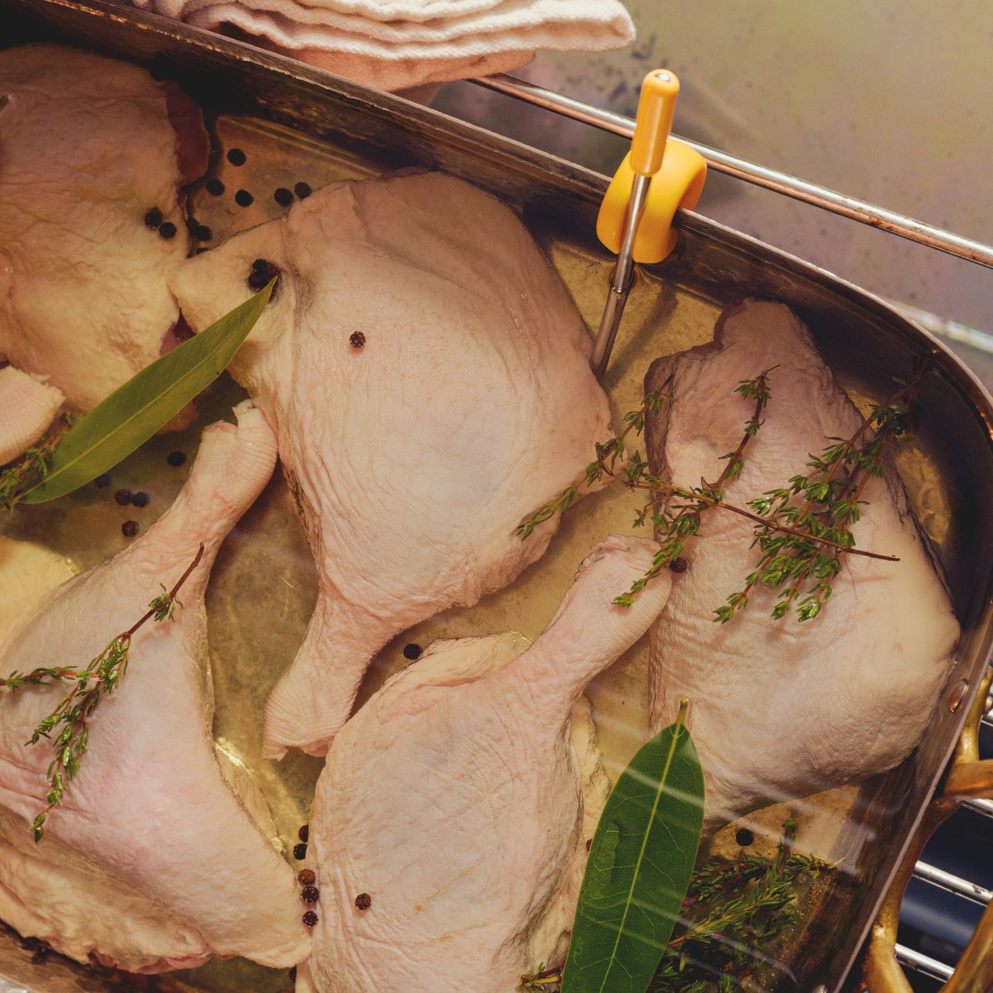 Using the Combustion Pot Clip to hold the Combustion Predictive Thermometer on the edge of a pan while preparing duck confit.