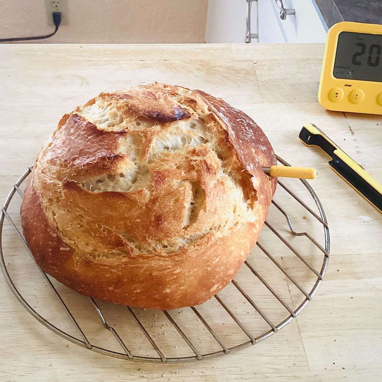 https://combustion.inc/cdn/shop/products/sourdough-CPT-with-display.jpg?v=1686280317&width=1445